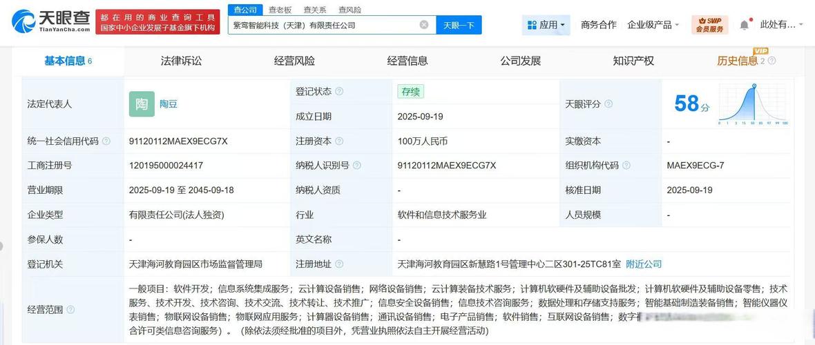 科技新星崛起 一家注册资本百万企业在软件与云服务领域的战略布局