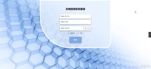 基于Spring Boot与Vue的失物招领系统设计与实现——计算机毕业设计实践